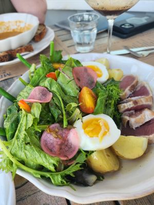 Minnow At The Galley Ho by null