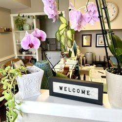 Road to Health Acupuncture - Welcome!