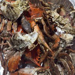 Large blue crab dirty n gross