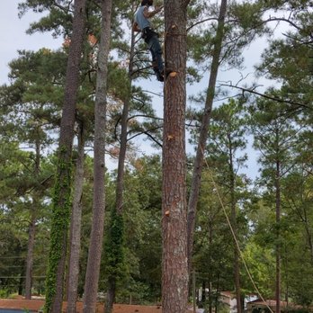 Getter Done Tree Service - Tree Services Near Me - Forsyth, Georgia Getter Done Tree Service - Tree Services Near Me - Forsyth, Georgia
