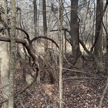 Cedarock Park - Parks Near Me - Burlington, North Carolina