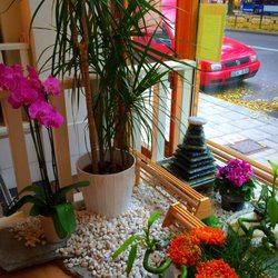 Akupunktur specialist - After session in sofa talking with relaxing views
