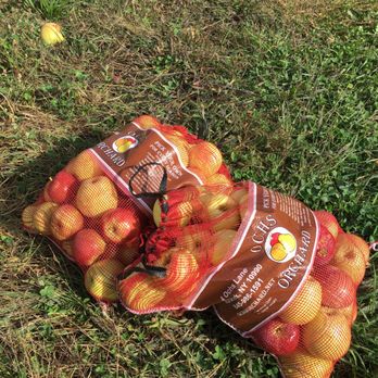 Ochs Orchard - 1/2 bushels of apples - Fruits & Veggies Near Me - Warwick, New York Ochs Orchard - 1/2 bushels of apples - Fruits & Veggies Near Me - Warwick, New York