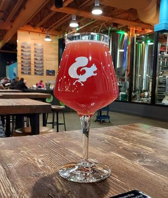 Mighty Squirrel Brewing Co. by null