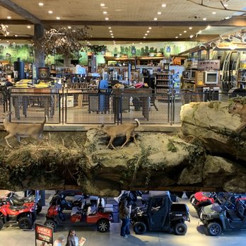 Bass Pro Shops - Boat Dealers Near Me - Bridgeport, Connecticut Bass Pro Shops - Boat Dealers Near Me - Bridgeport, Connecticut