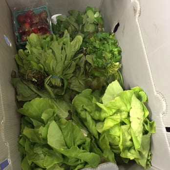 Helsing Junction Farm - Vegetable share received 1st week. - Fruits & Veggies Near Me - Rochester, Washington