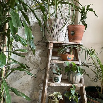 Fauna & Flora - Cafes Near Me - Lisbon, 11