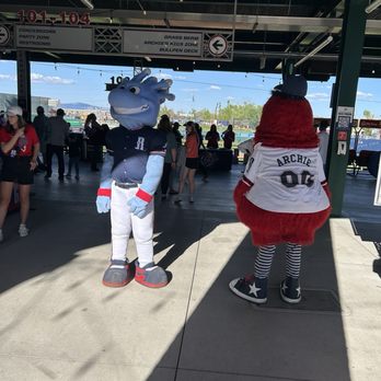 Reno Aces Baseball Club - Mascots - Professional Sports Teams Near Me - Reno, Nevada