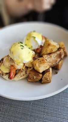 Nikanos Mediterranean Bar & Grille by null