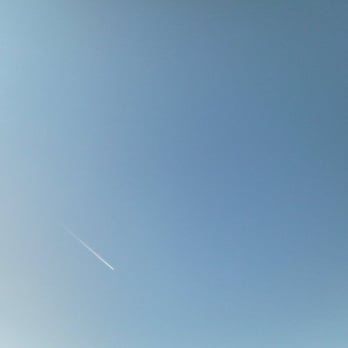 Joaquin Miller Park - Blue skies and a 747....probably. - Parks Near Me - Oakland, California