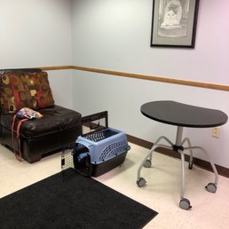 Exam room that doesn't feel like an exam room. The vet actually got down on the floor with my cat so the cat would be more comfortable. Exam room that doesn't feel like an exam room. The vet actually got down on the floor with my cat so the cat would be more comfortable.