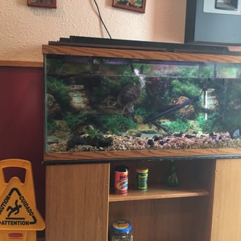 Panda Palace - Chinese Near Me - Washington, Iowa