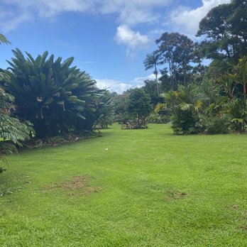 Hamakua Chocolate Farm - Chocolatiers & Shops Near Me - Papaikou, Hawaii Hamakua Chocolate Farm - Chocolatiers & Shops Near Me - Papaikou, Hawaii