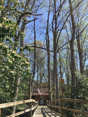 Tree House by null