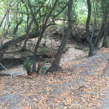 Martin Canyon Creek Trail - 8.2.15 morning - Hiking Near Me - Dublin, California