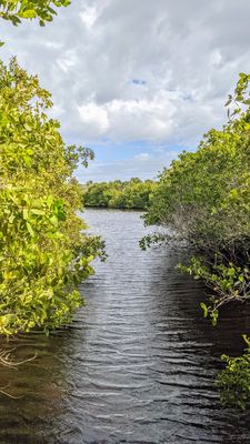 Caladesi Island State Park by null