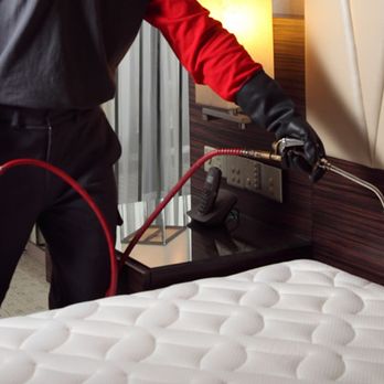 Bed Bug Exterminator Detroit - Pest Control Near Me - Detroit, Michigan Bed Bug Exterminator Detroit - Pest Control Near Me - Detroit, Michigan