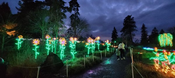 Garden d’Lights by null