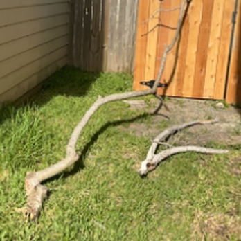 Progress Residential - Property Management Near Me - Spring, Texas