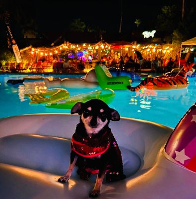 Caliente Tropics Resort - Palm Springs, CA by null