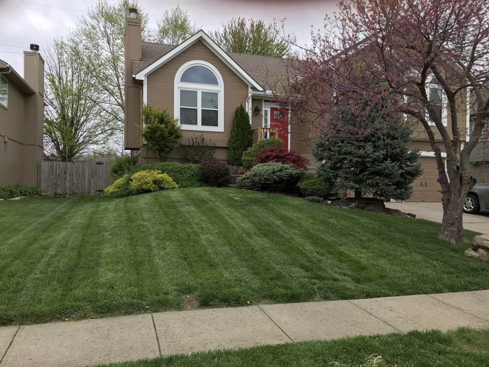 SPORTING LAWN CARE Lawn Services Kansas City, MO Phone Number Yelp