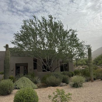 Happy Tree Guys - Tree Services Near Me - Phoenix, Arizona