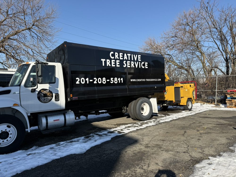 Creative Tree Service - tree service in Jersey City, NJ