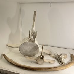 Dorr Museum