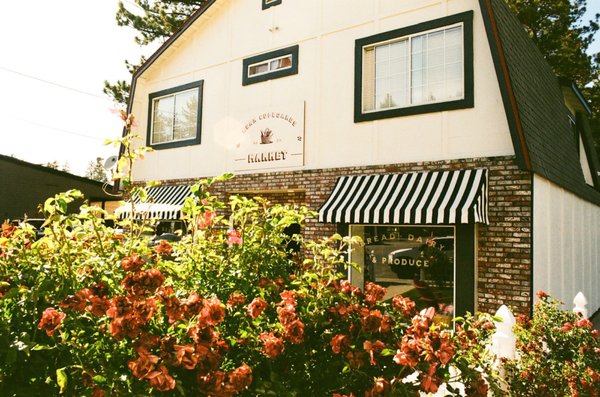 Bear Cupboards Market by null