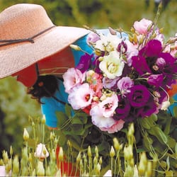 Laughing Lady Flower Farm - Harvesting Lisianthus