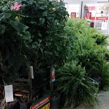 H-E-B - Drugstores Near Me - Houston, Texas