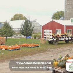 Butch, Hunter and Mike in the fields of All Good Organics, bringing in pumpkins, pumpkins and more pumpkins! Stop by and get yours today!