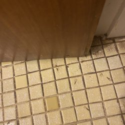 Trade Winds Guest House - Bugs all over the floor