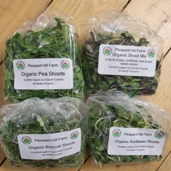 South Shore Natural Foods - Photo