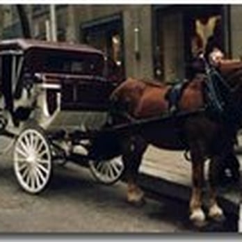 Antique Coach & Carriage - Tours Near Me
