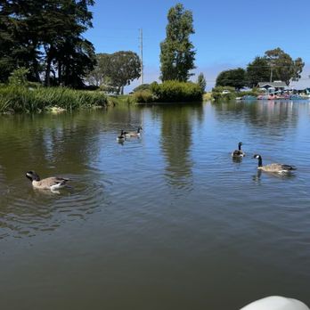 El Estero Boating - They swam along with us! - Boating Near Me - Monterey, California