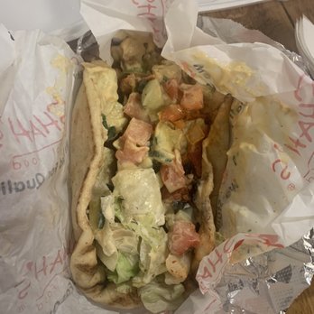 Shah's Halal Food - Chicken gyro - Middle Eastern Near Me - Millsboro, Delaware