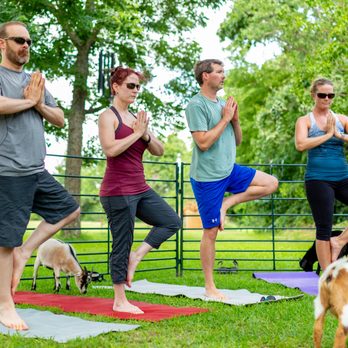 Goat Yoga Texas - Yoga Near Me - Tomball, Texas Goat Yoga Texas - Yoga Near Me - Tomball, Texas