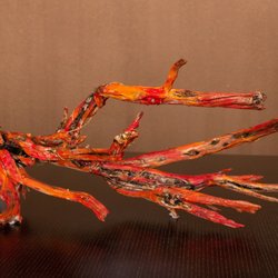 Art 360