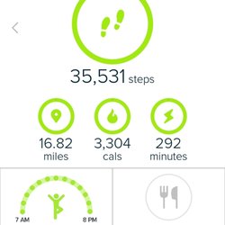 RE/MAX Complete Solutions - This is how many steps it takes to reassemble, organize & decorate a 3000 sq ft office after moving, in just 1 day. No treadmill needed! LOL