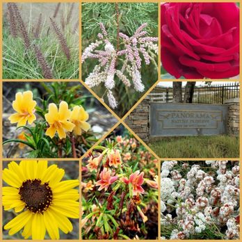 Panorama Nature Preserve - *sniff* Can you smell what the nature preserve is cooking?? :/ LOL 07/01/17 - Parks Near Me - Fullerton, California Panorama Nature Preserve - *sniff* Can you smell what the nature preserve is cooking?? :/ LOL 07/01/17 - Parks Near Me - Fullerton, California
