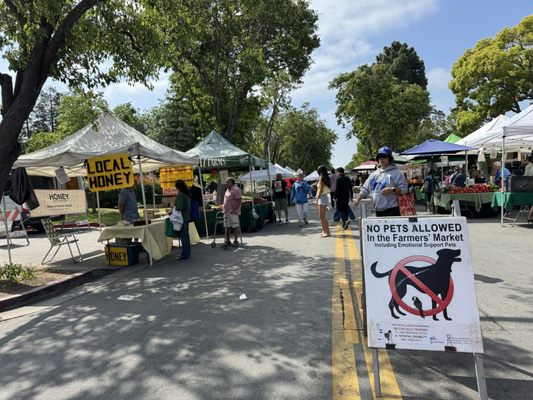 Santa Clara Farmers Market by null
