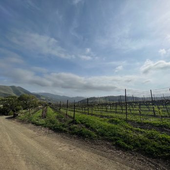 Pence Vineyards & Winery - Wineries Near Me - Buellton, California