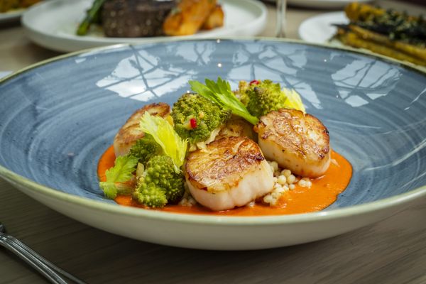 The Dalmar, Fort Lauderdale, a Tribute Portfolio Hotel by null