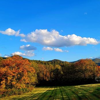 Julep Farms - Dining room view - Farms Near Me - Dillard, Georgia
