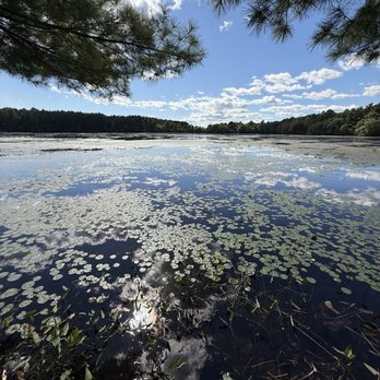 Browning Mill Pond Trail - Waterview - Hiking Near Me - Exeter, Rhode Island