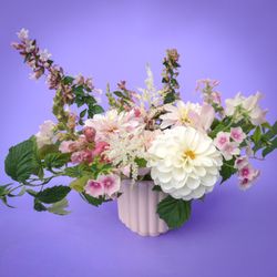 Campanula Design Studio Seattle Florist & Gift Baskets