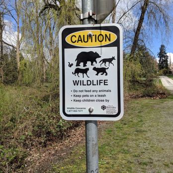 Deer Lake Park - Wildlife - Parks Near Me - Burnaby, British Columbia Deer Lake Park - Wildlife - Parks Near Me - Burnaby, British Columbia
