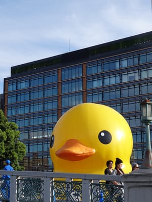 Nakanoshima Park by null