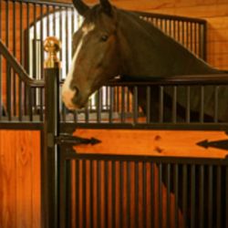 Gulf Central Builders LLC - http://www.rammfence.com/horse-stalls/